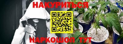 a pvp Лесосибирск