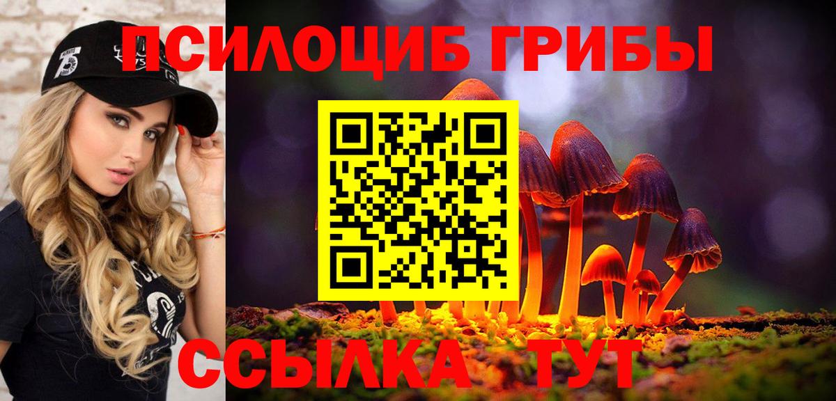 Псилоцибиновые грибы мицелий Десногорск